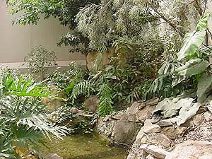 arche.jpg (45050 bytes)